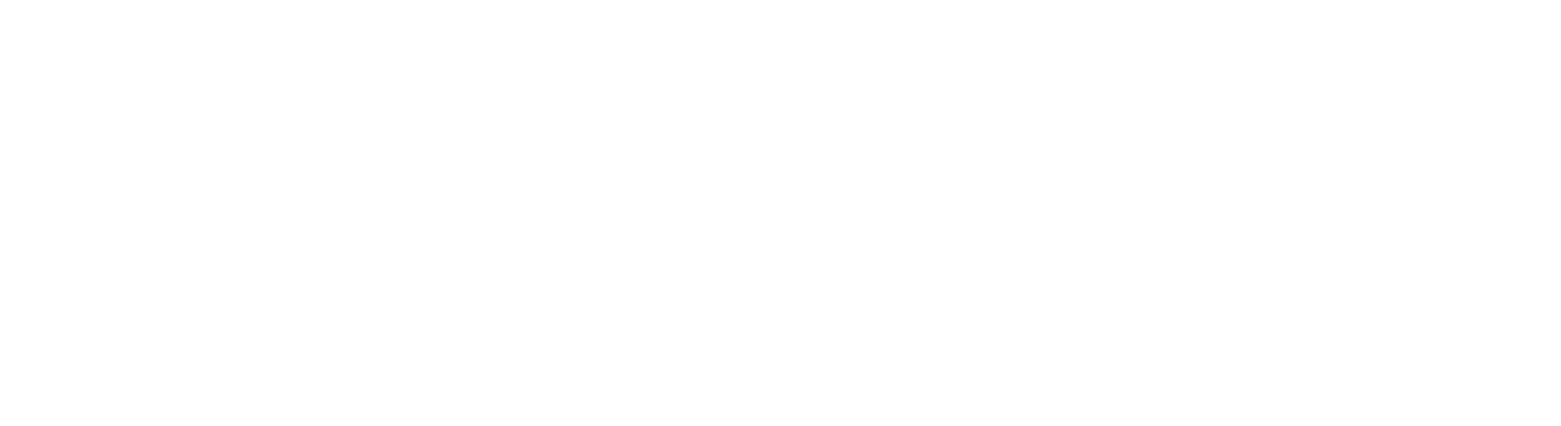 Santa Sleigh